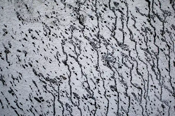 Close-up of a textured concrete wall with unique black markings and patterns.